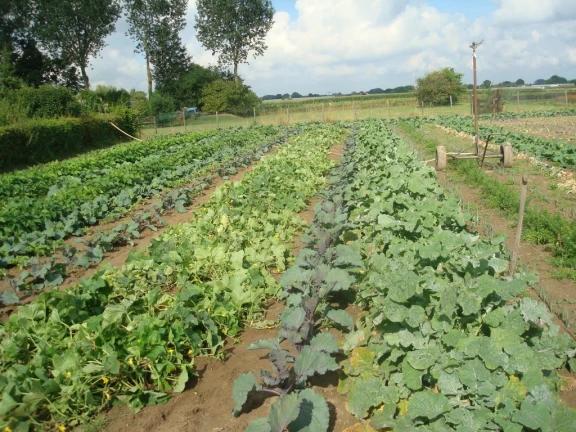 Afbeelding van de werkplek 'Stichting Blij Groessen'.