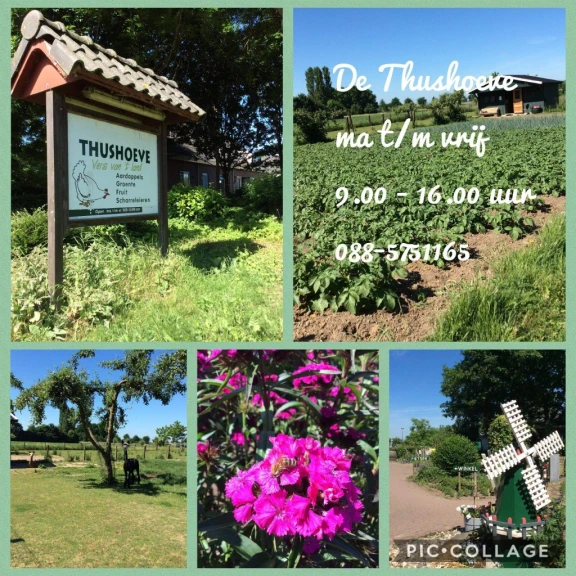 Afbeelding van de werkplek 'Zozijn - De Thushoeve'.